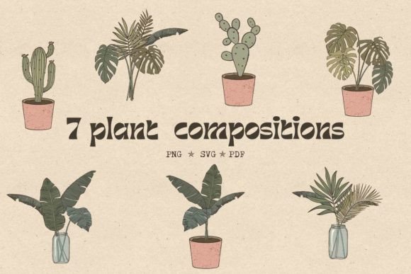 Retro Boho Tropical Houseplants: SVG & PNG Graphics